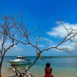 A Taste of Mozambique: From City Streets to Tropical Shores